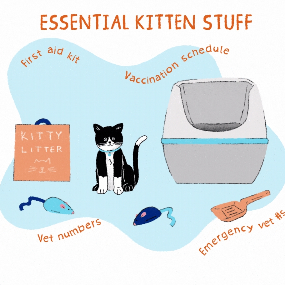 PET SUPPLIES